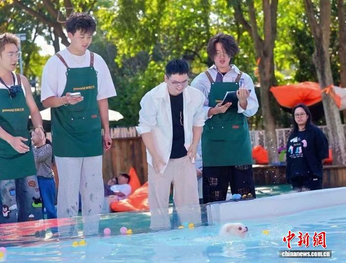 游客帶着狗狗在杭州皋亭山千桃園的嬉水池游玩。柳夢迪 攝