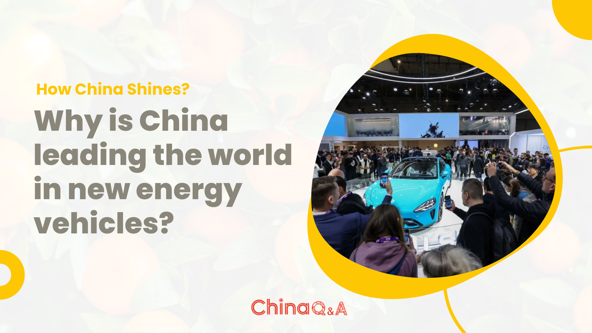 Why is China leading the world in new energy vehicles?