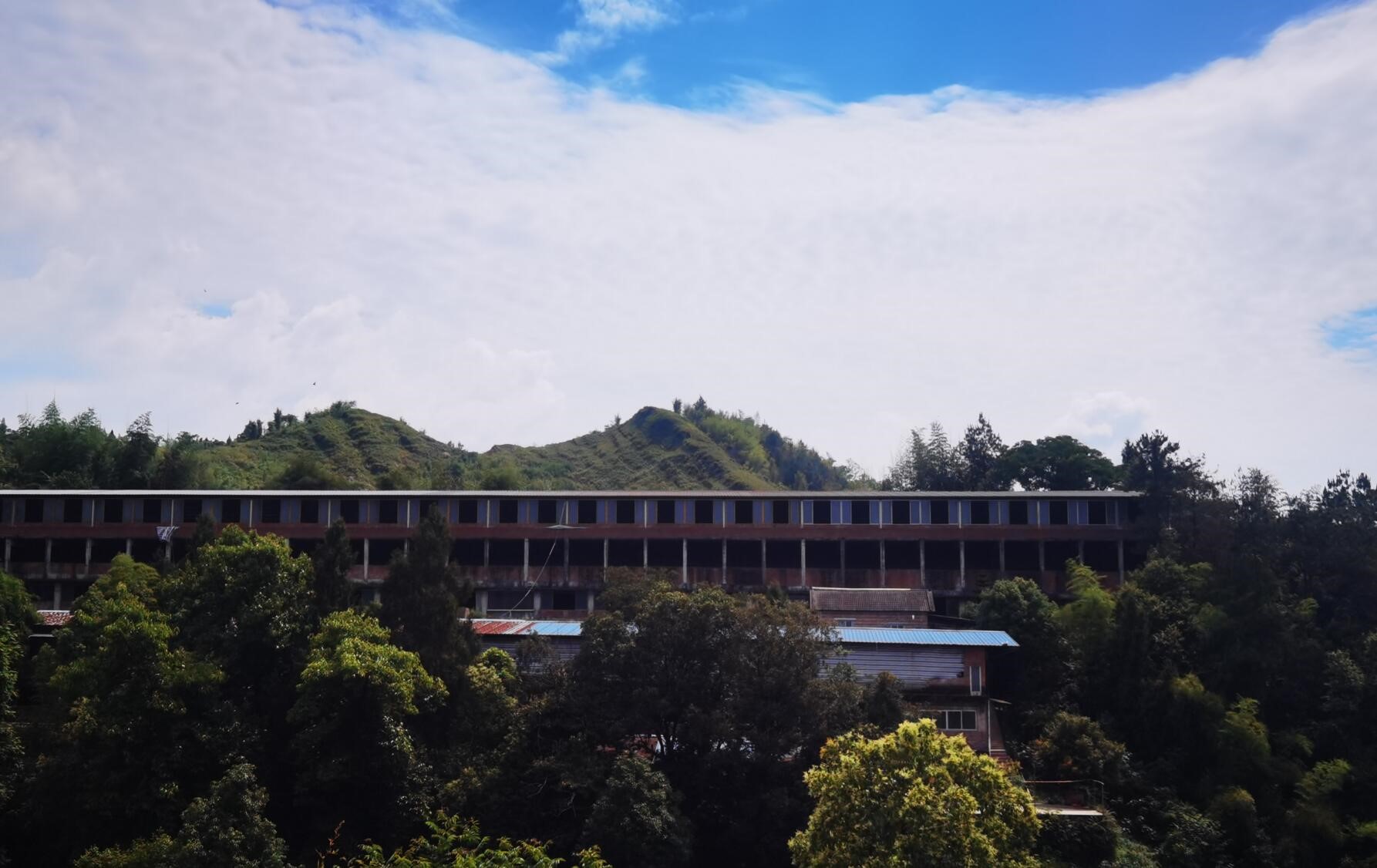 曾祖候生豬養殖場