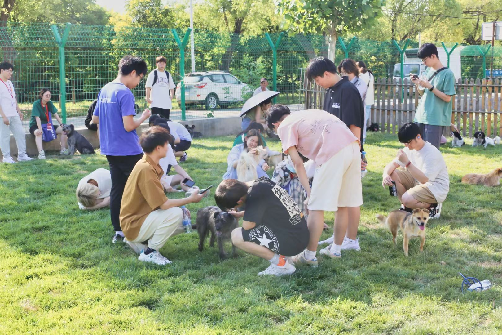 （資料圖。療愈犬與志願者互動，人寵和諧相處充滿暖意。圖片來源於首都愛護動物協會。）