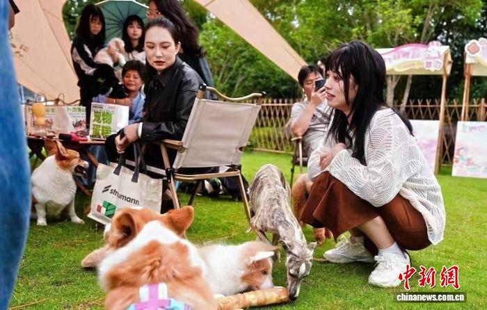 游客帶着狗狗在杭州皋亭山千桃園的草坪上游玩。柳夢迪 攝
