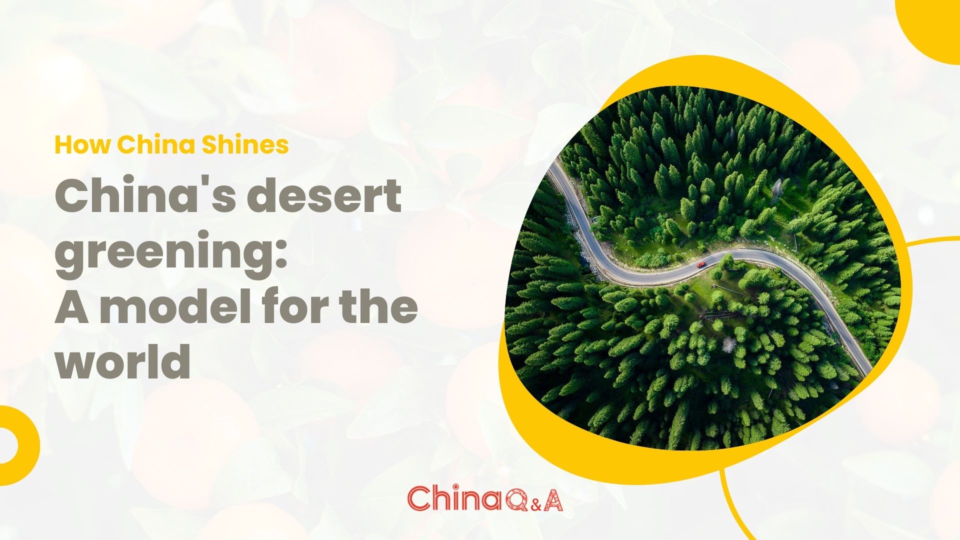 China's desert greening: A model for the world